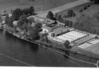 Flygfoto omkring 1950