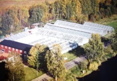 Växthusen 1986